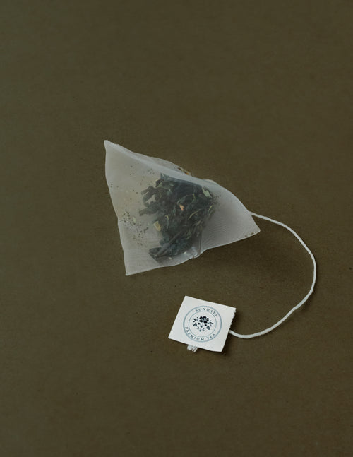 Jasmine Green